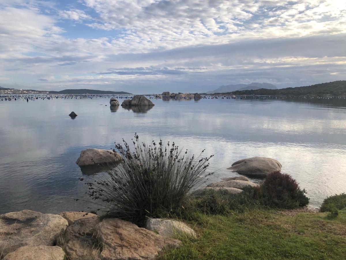 Marina Butterfly Appartement Olbia Buitenkant foto